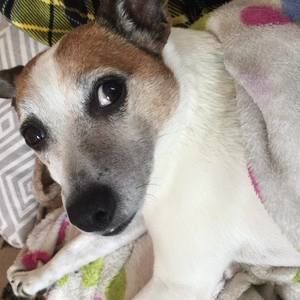 Meet your Posher, Luna